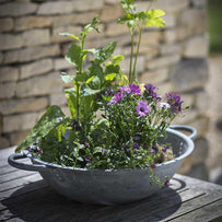 Galvanised Table Top Bowl Planter (4649249538108)