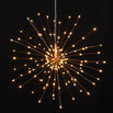 Starburst LED Allium Outdoor Battery Lights with Remote (4650103341116)