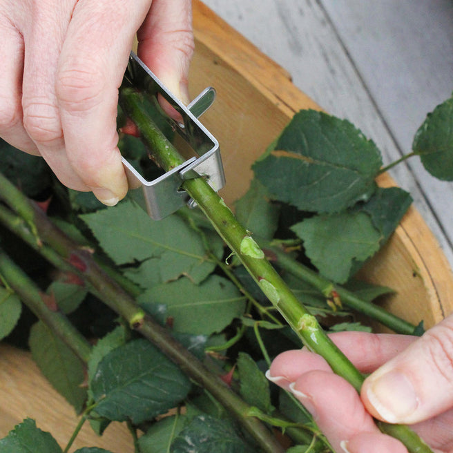 Kehail Floral Toolkit,Rose Thorn Remover Tool, Garden - View #4