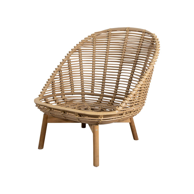Hive Lounge Chair with Teak Legs (7106592997436)