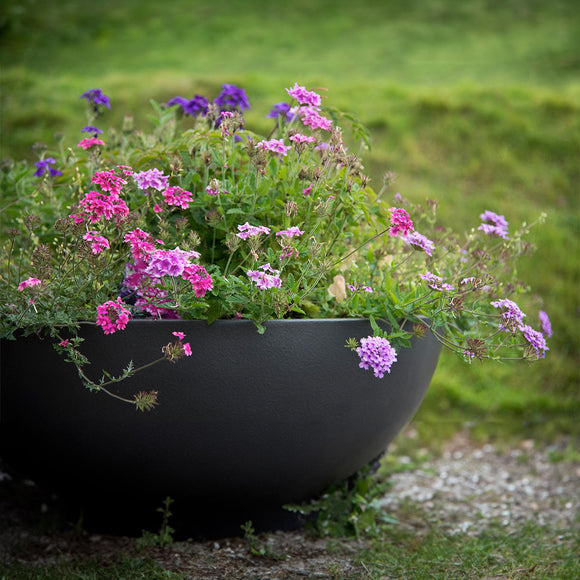 Curved Bowl Planter (7212903792700)