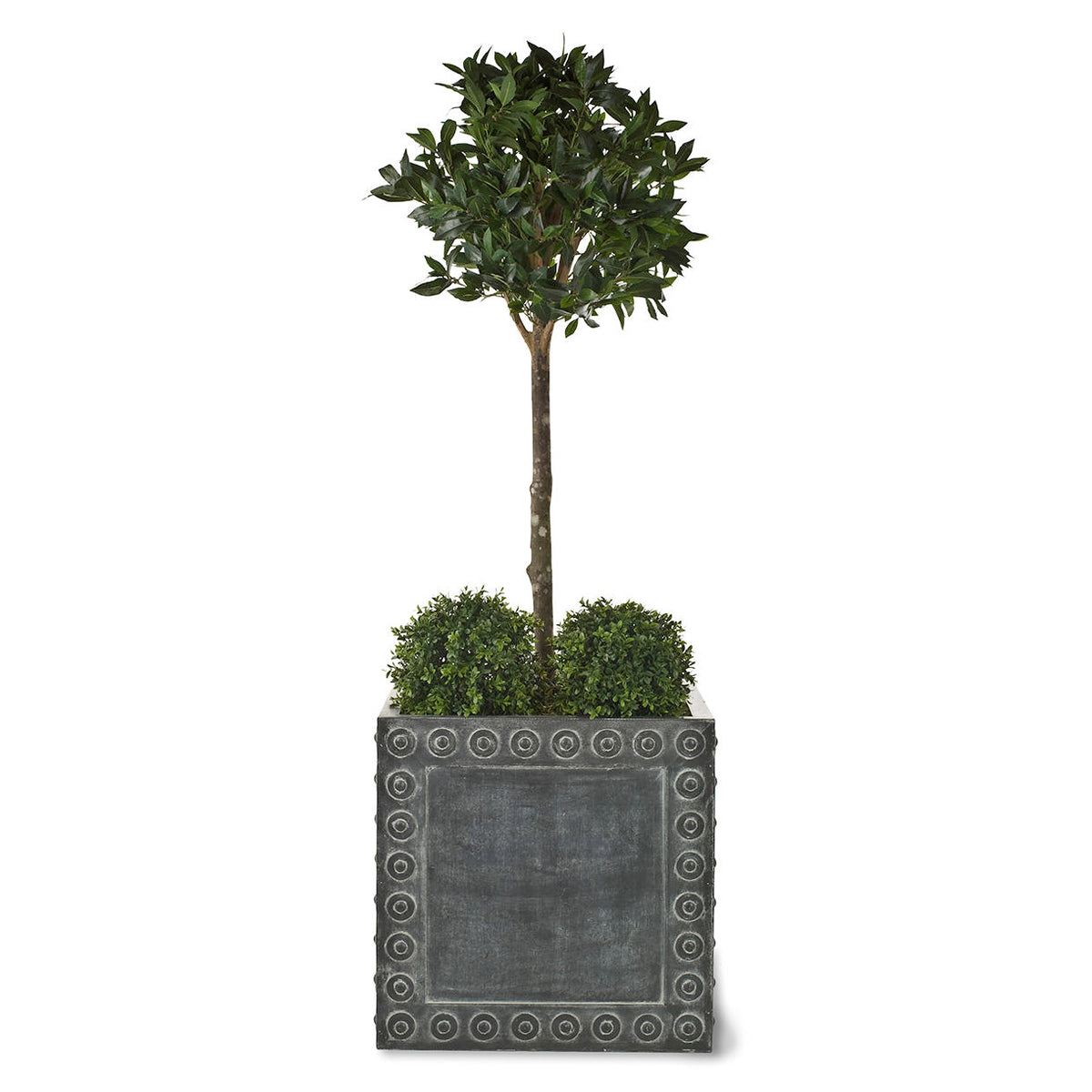 Square Worm Buy Cromwell Square Planter — The Worm that Turned - revitalising your ...