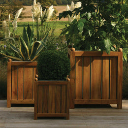 Citroen Teak Planters