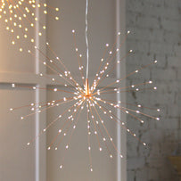 Starburst LED Allium Outdoor Mains Lights (4653401899068)