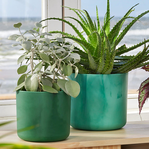 Pacific Green Recycled Ocean Plant Pots (7149966458940)