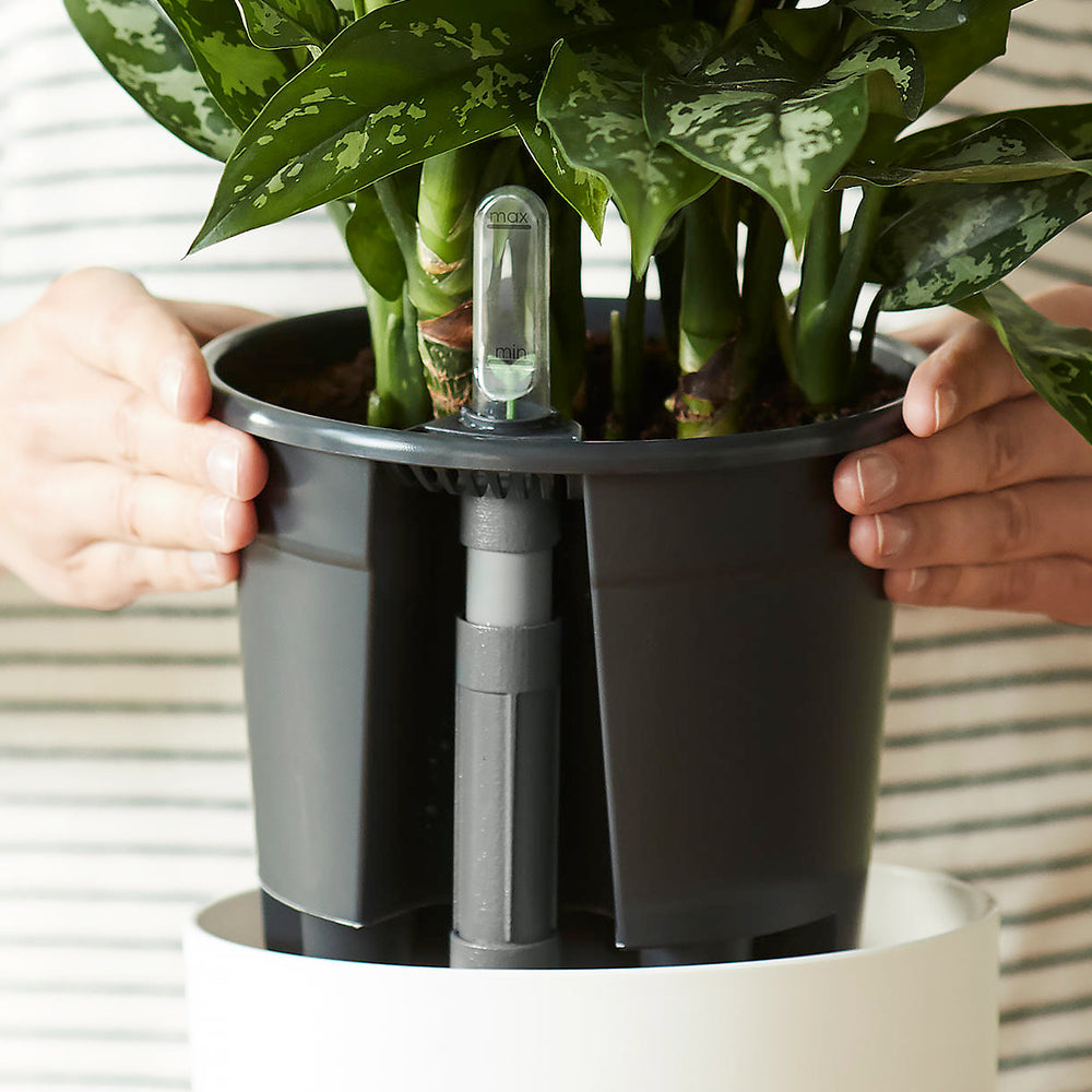 Self-Watering Insert for Plant Pot