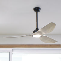 Imari Indoor Ceiling Fan with LED Light (6977438023740)
