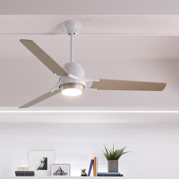 Zeus Indoor Ceiling Fans (6983166132284)
