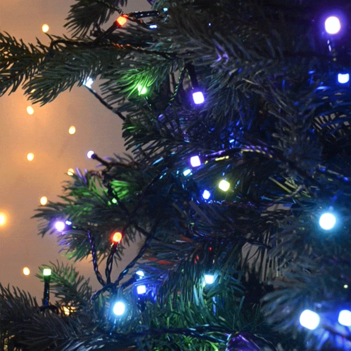 Phone controlled christmas tree lights deals