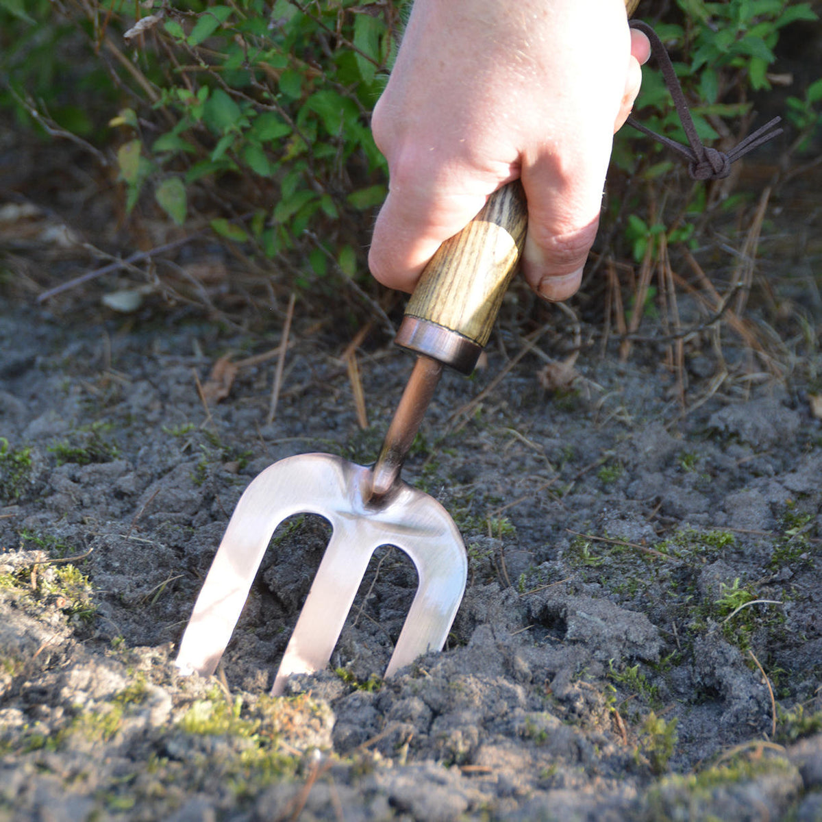 Buy Copper Plated Fork — The Worm that Turned - revitalising your ...