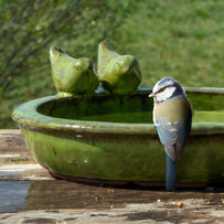 Glazed Bird Bath with Birds (4653150994492)