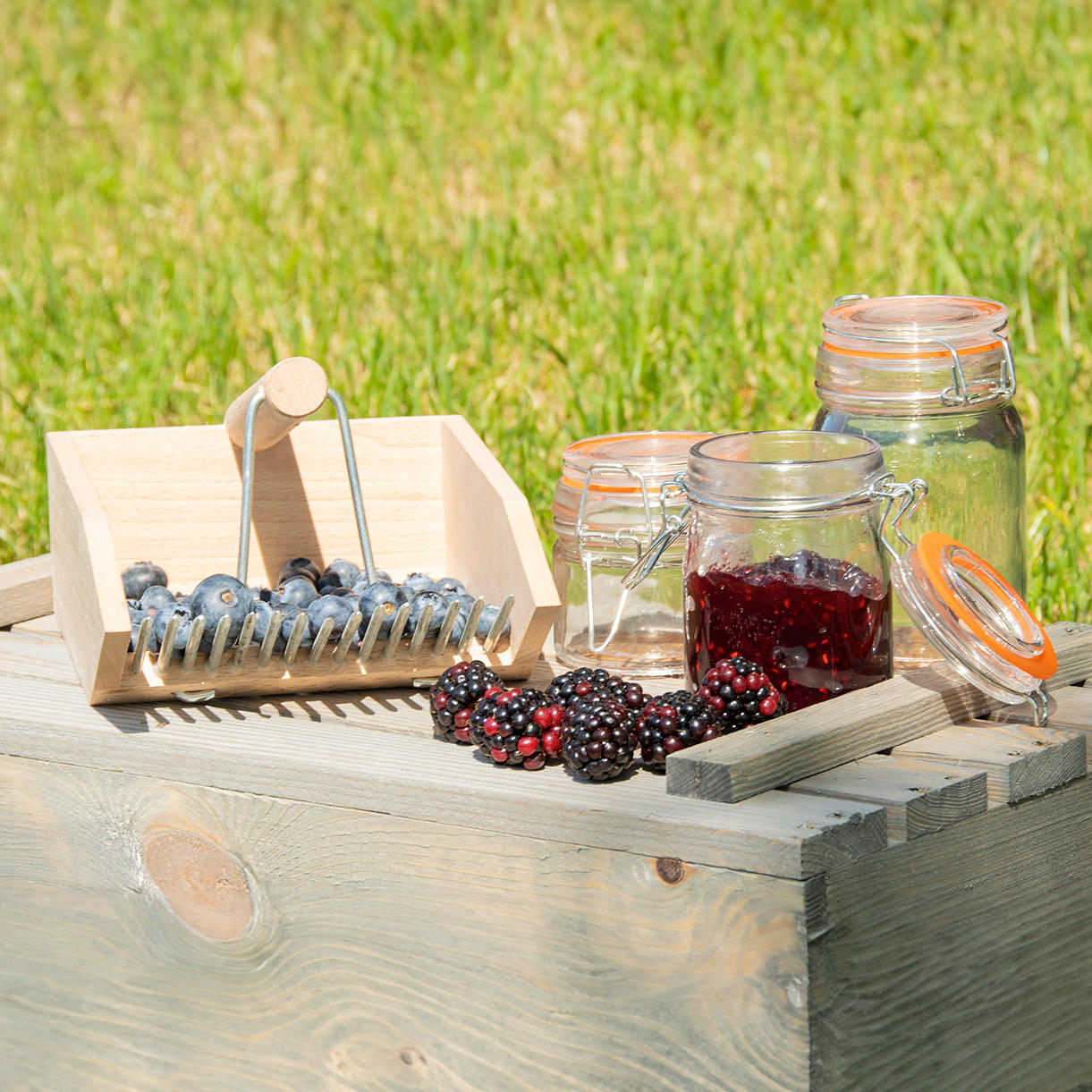 Buy Wooden Berry Picker — The Worm that Turned - revitalising your ...