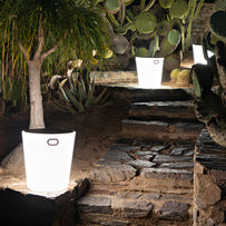 Inouï LED Illuminated Stool (4652407619644)