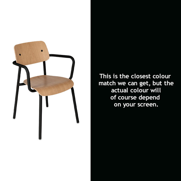 Studie Oak Indoor Armchair (7172747100220)