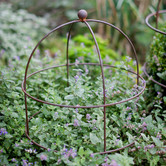 metal lobster pot plant support Buy Domed Plant Support — The Worm that Turned