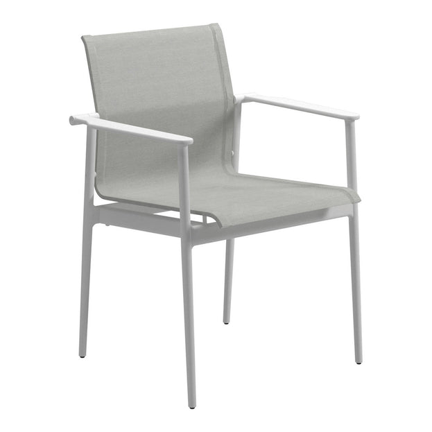 Gloster 180 Dining Chairs with Arms (6555887960124)