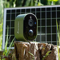 Solar Bird Box Camera (7137516585020)