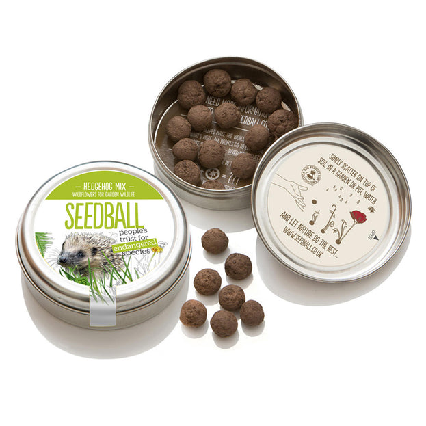 Hedgehog Mix Seedball Tin (6664255930428)
