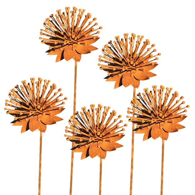 Rusted Echinacea Flower (4651953586236)
