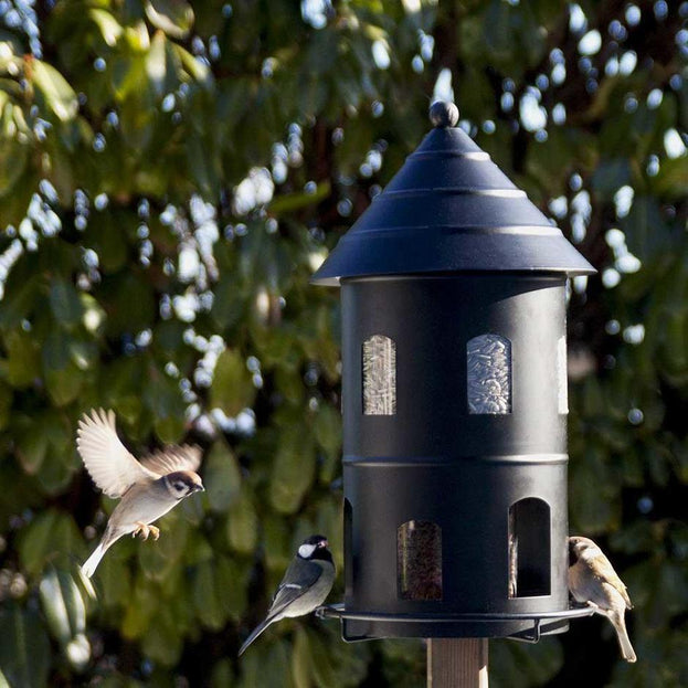 Buy Ground Spike for Giant Bird Seed Feeder — The Worm that Turned