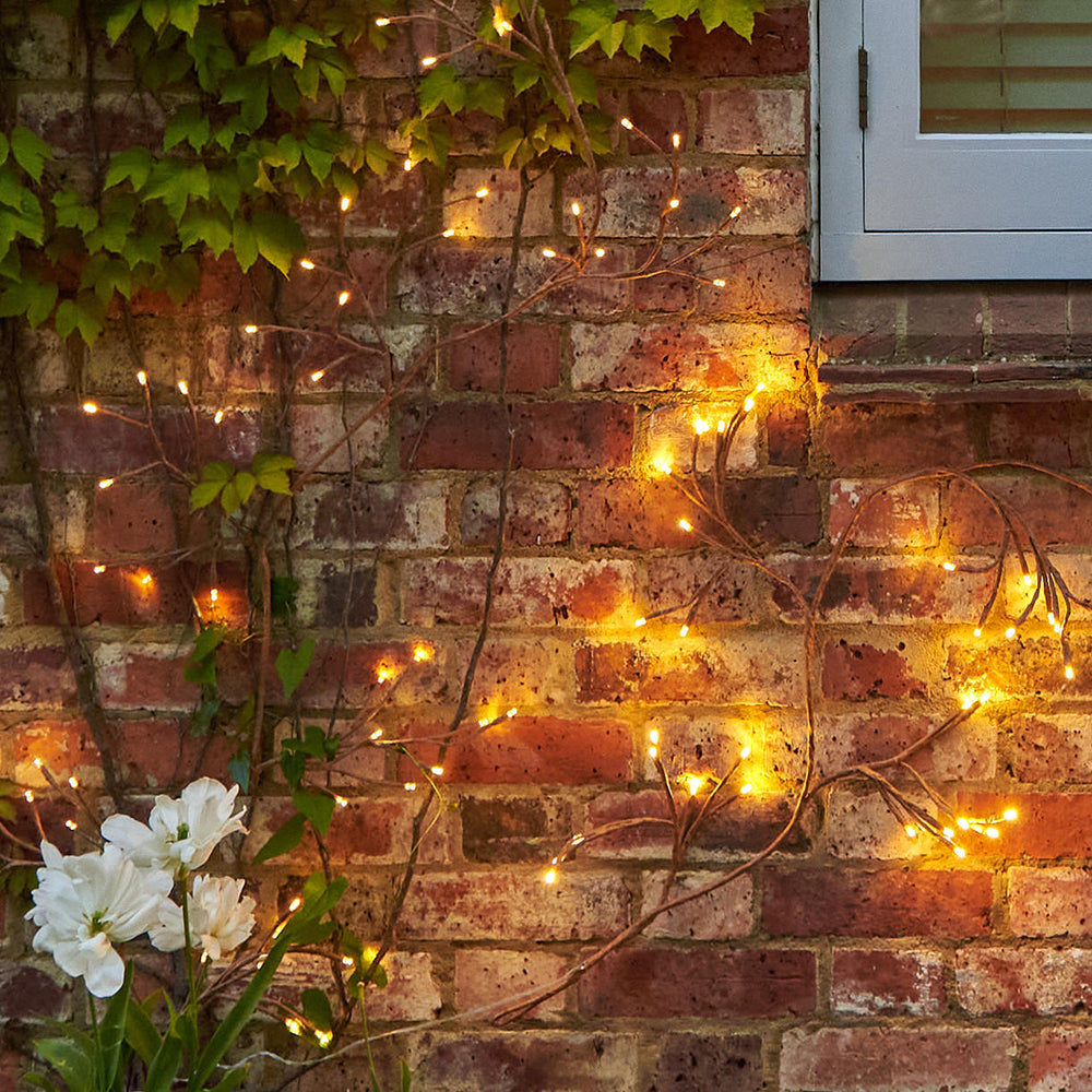 Buy Ivy Outdoor Solar/Mains Light Chain — The Worm that Turned ...