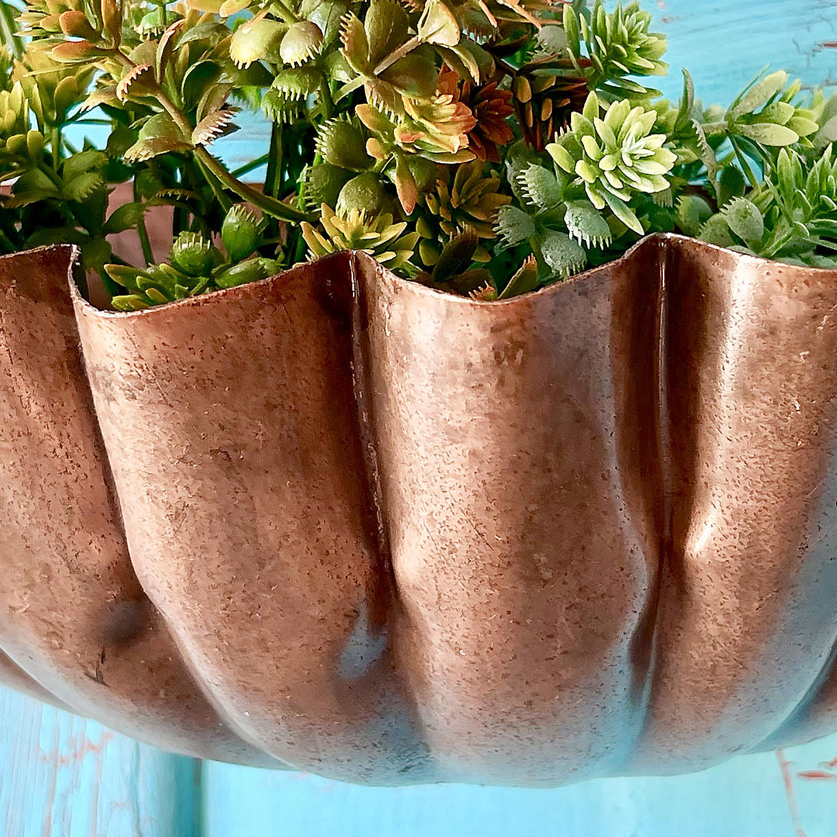 copper hanging planter uk Buy Copper Shell Shaped Wall Planter — The Worm that Turned