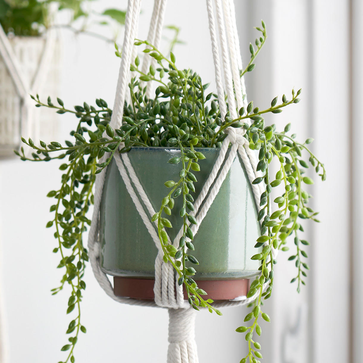 indoor plant hangers uk Buy Macramé Plant Pot Hanger — The Worm that Turned