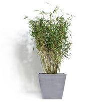 Tapered Square Eco Planters (4651897618492)
