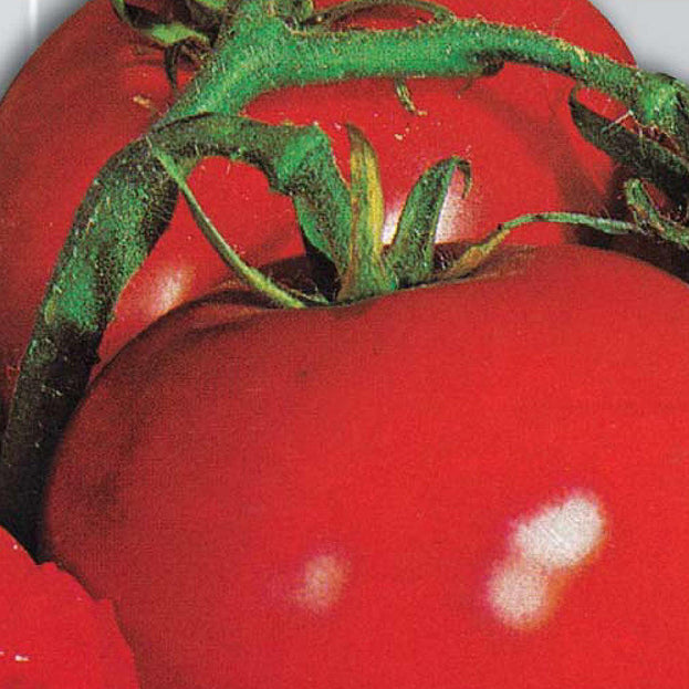 Italian Tomato Seeds (4647876853820)