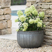 Galvanised Wash Tub Planters (4649458008124)