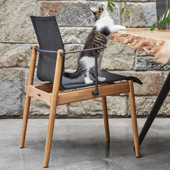 Sway Teak Stacking Chairs with Arms (4652160221244)