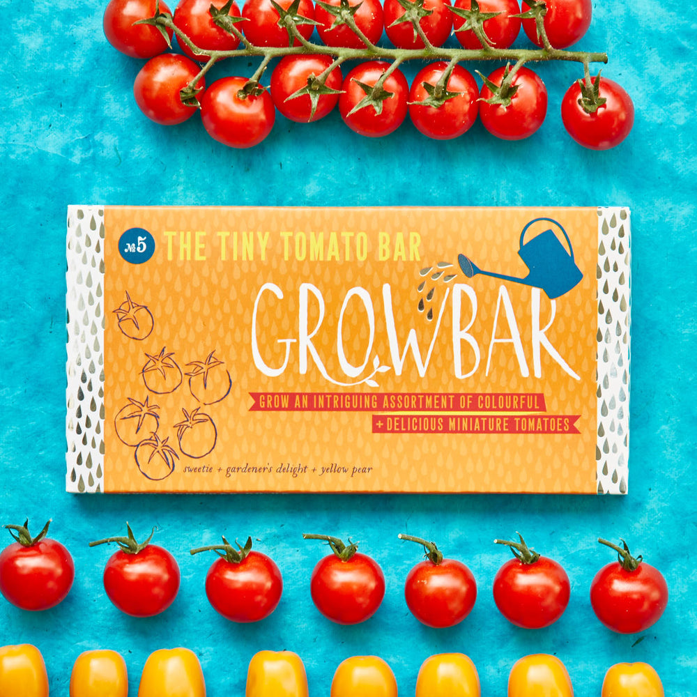 Tomato Seed Bar