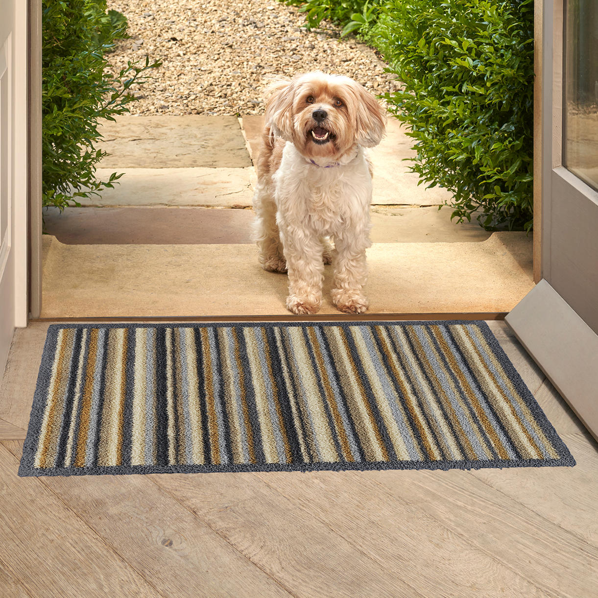 Best Dog Rugs UK: Washable and Waterproof Dog Rugs for Muddy Paws Buy Turtle Mat - Stripe — The Worm that Turned - revitalising your outdoor space