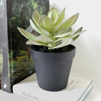 Small Faux Succulent in pot (4736876642364)