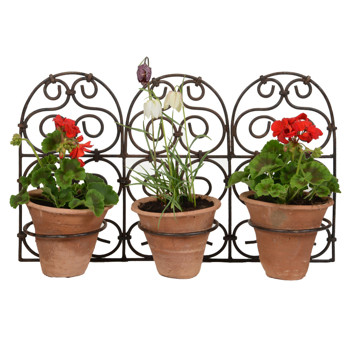 moroccan style plant pots uk Buy Moroccan Triple Pot Holder with Pots — The Worm that Turned